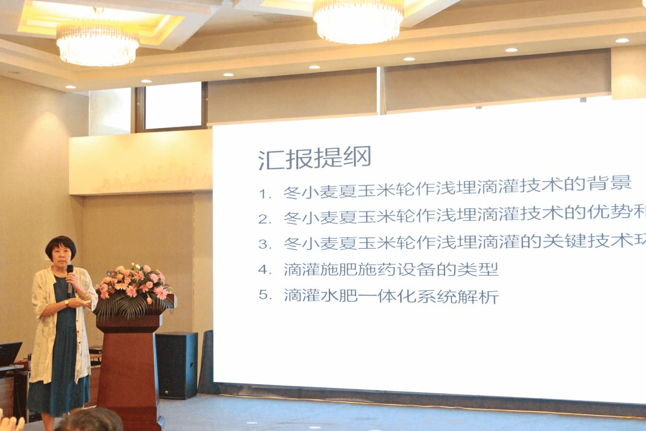 OG东方厅