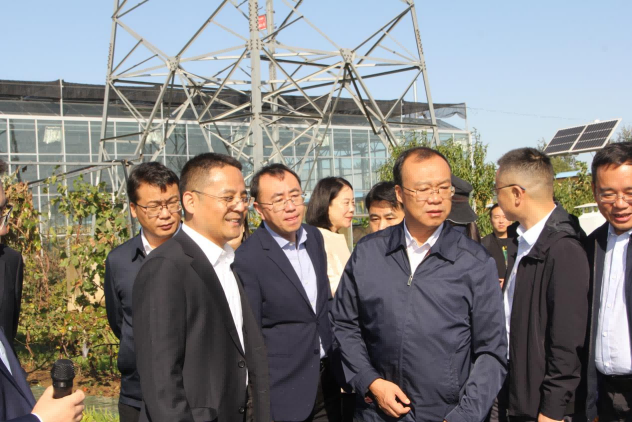 OG东方厅