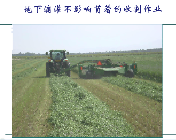 OG东方厅