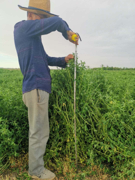 OG东方厅
