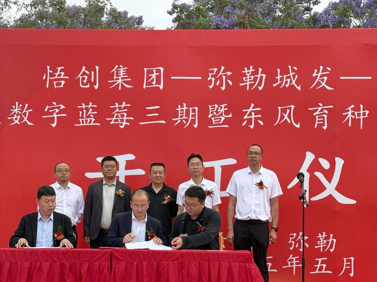 OG东方厅