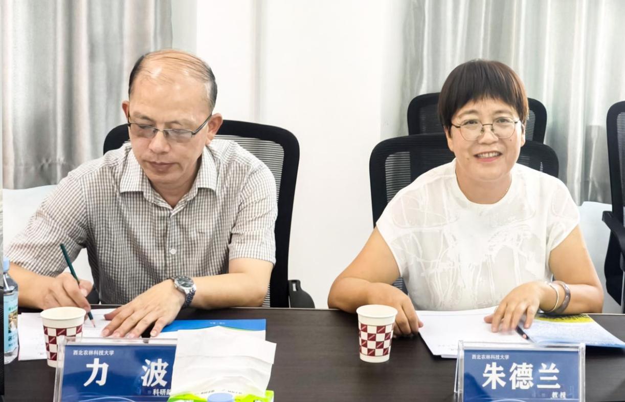 OG东方厅